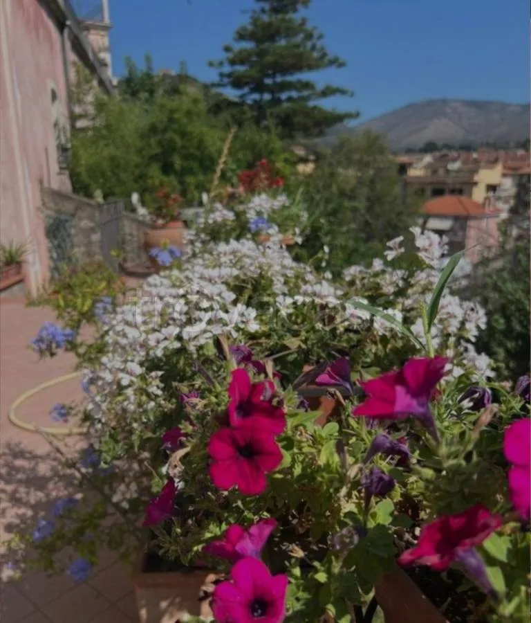Balcon - Rearranged Apartment with Garden in Itri