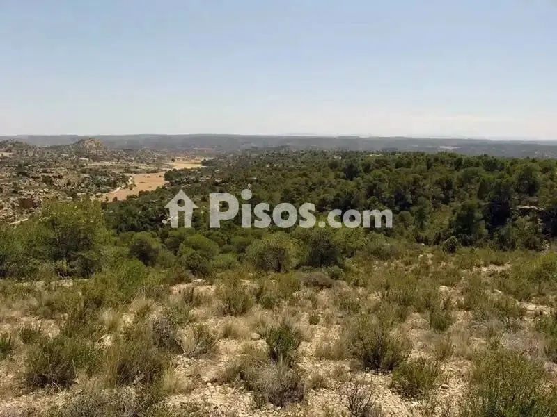 Rustic Hunting Estate in Alcañiz