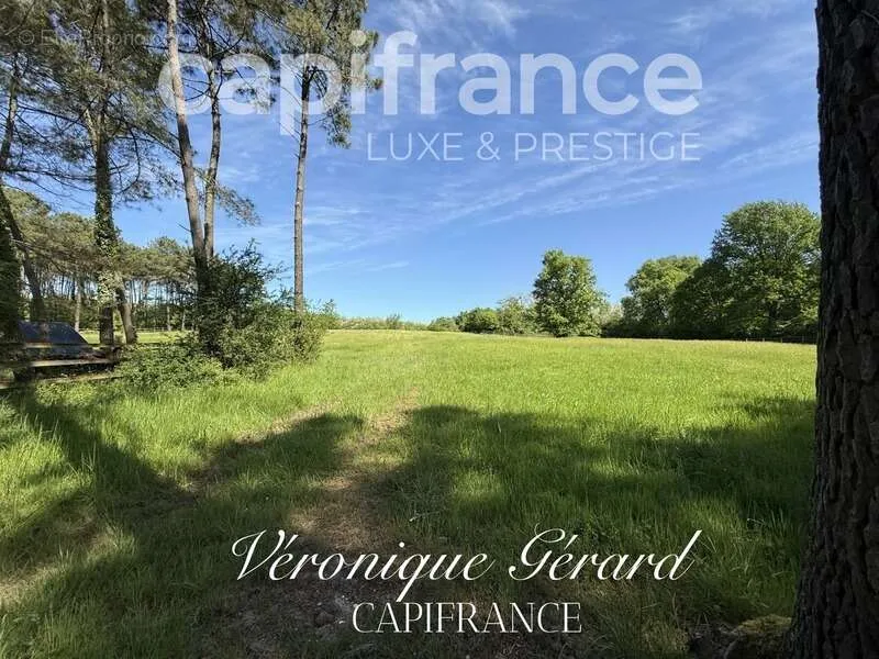 Aed - Equestrian Property with Longère in Salleboeuf