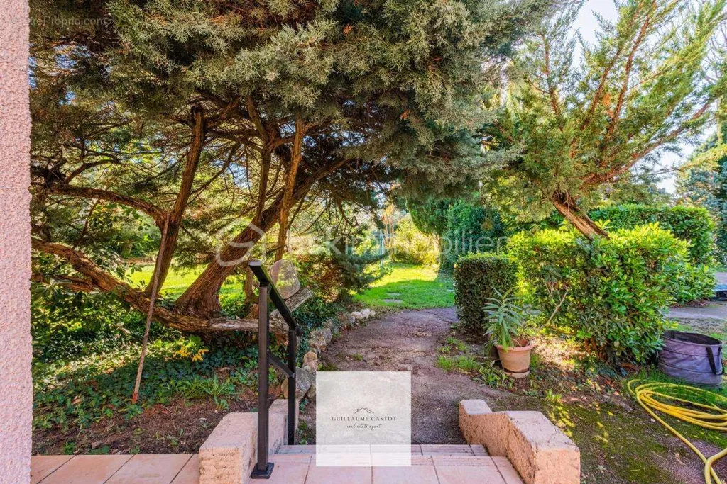 Jardin - Villa d'Architecte avec Piscine et Parc Arboré
