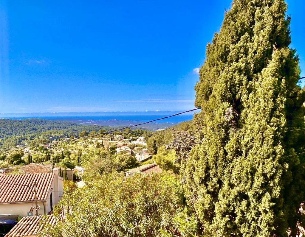 Jardin - Rustic Finca with Pool in Puigpunyent