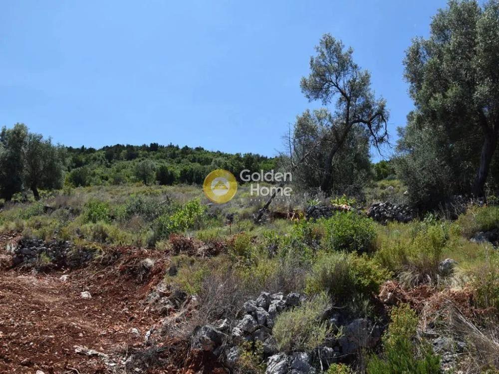 Giardino - Agricultural Plot with Sea View in Leukas
