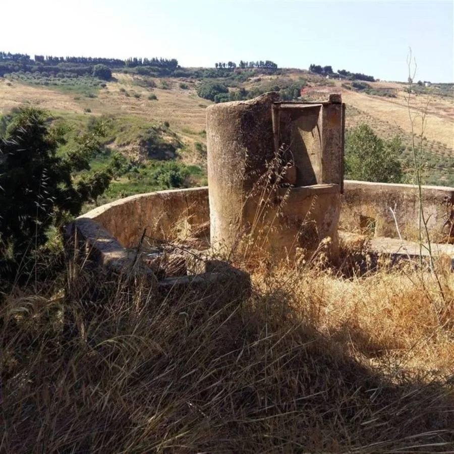 Jardin - Rustic Casale with Olive Grove in Sciacca