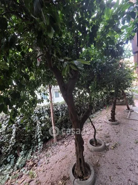 Jardin - Fully Furnished Flat in City Centre, Caserta