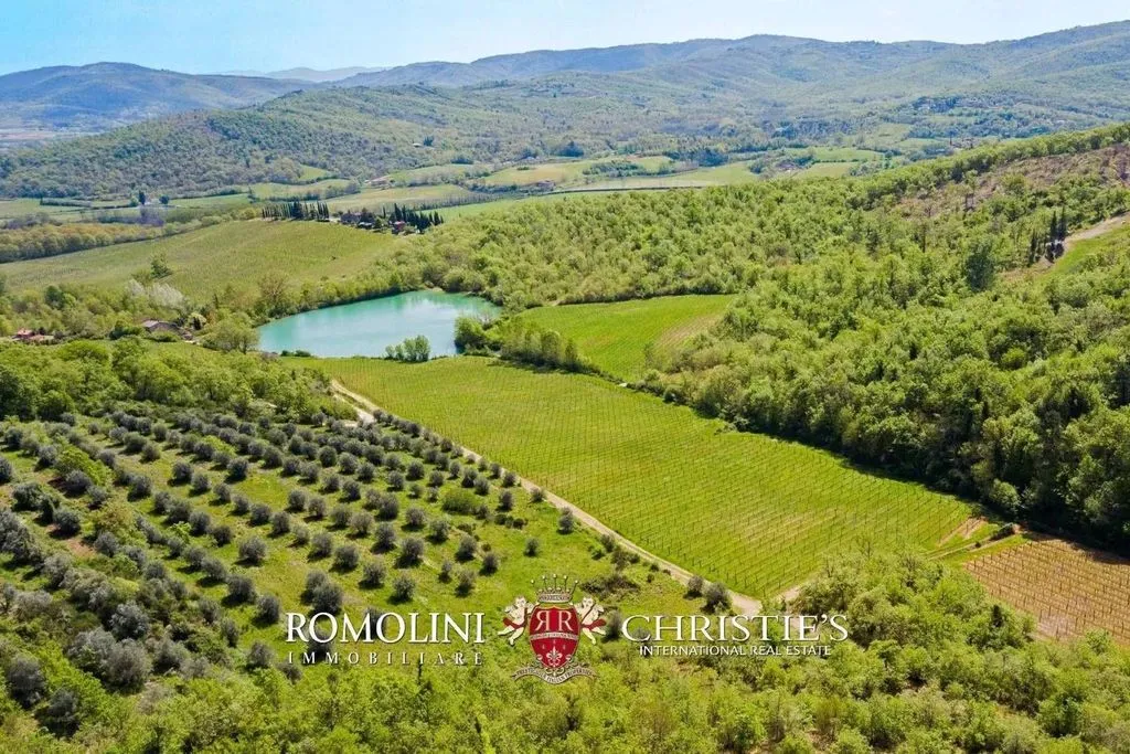 Jardin - Vineyard Estate with Chianti DOCG in Bucine