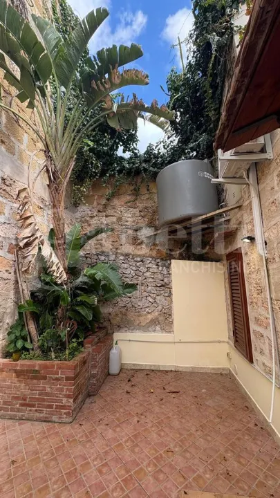 Jardin - Loft with Terrace in Mondello, Palermo