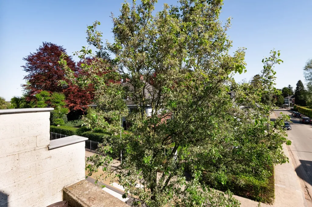 Jardin - Duplex avec Terrasse dans le Centre d'Essen