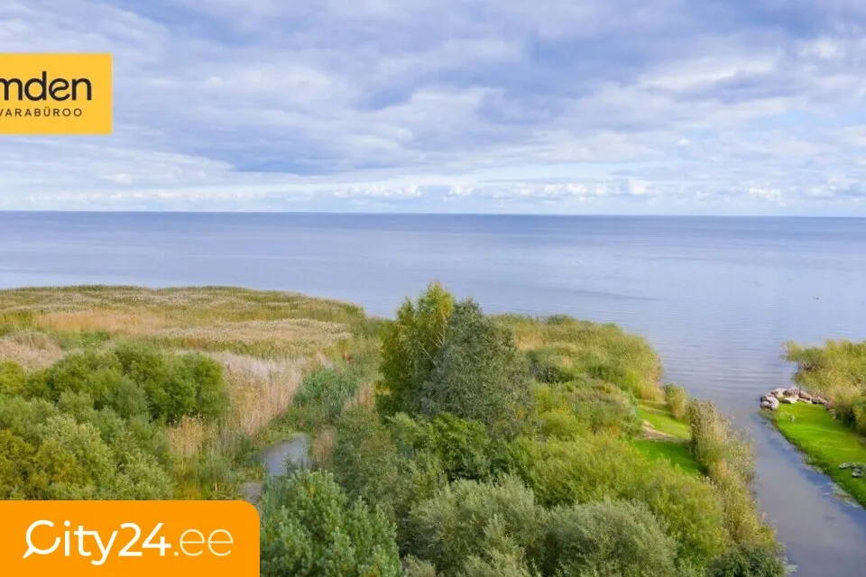 Aerial - Renovated House with Lake View in Kasepää