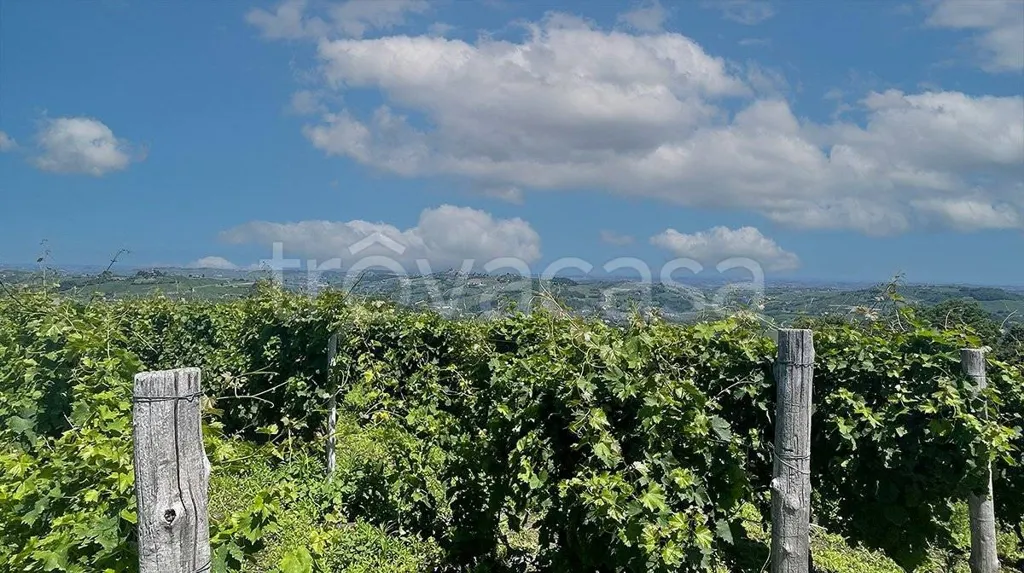 Jardin - Rustic Casale with Vineyard Views in Santo Stefano Belbo