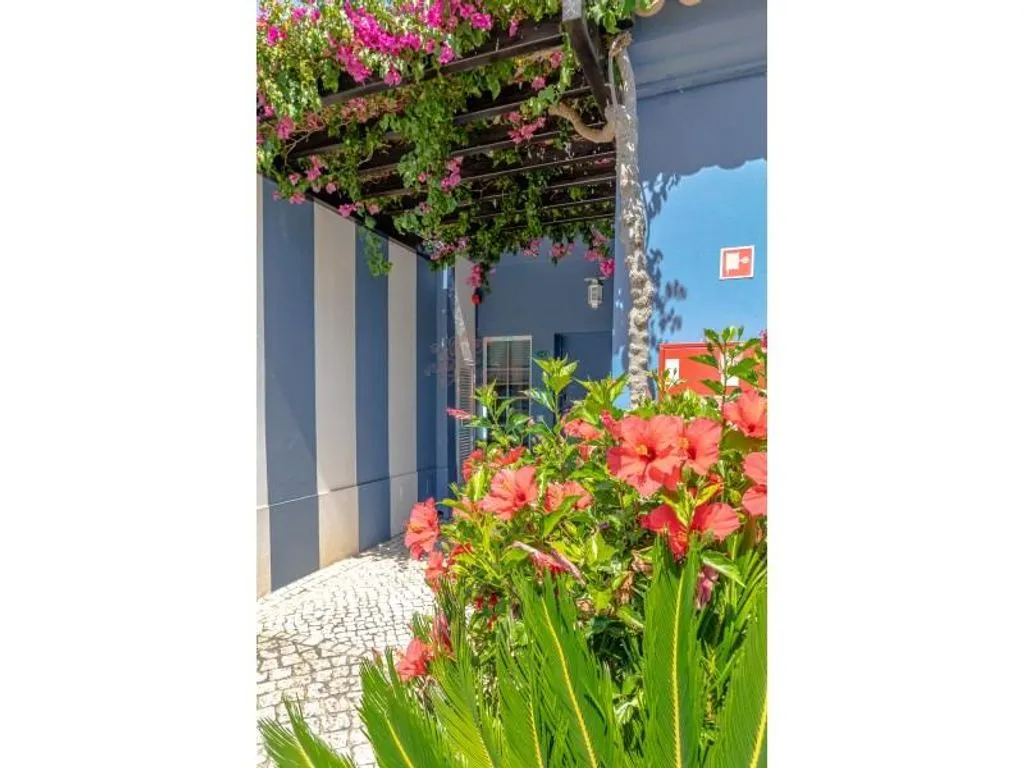 Jardin - Luxury Hotel with Resort Amenities in Espiche