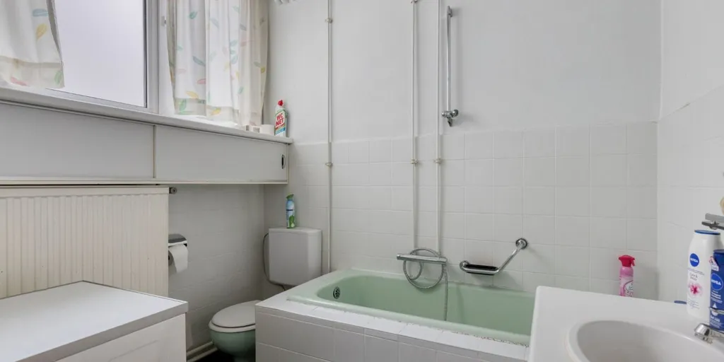 Vannitoad - Renovatable Shop-Residence in Herentals