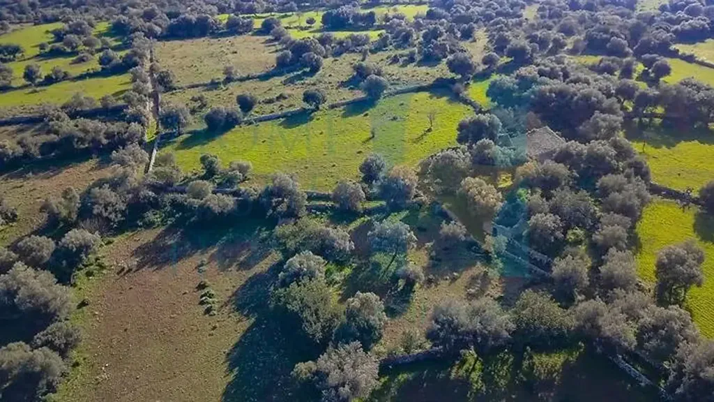 Vue aérienne - Baglio-Style Property with Natural Views in Noto