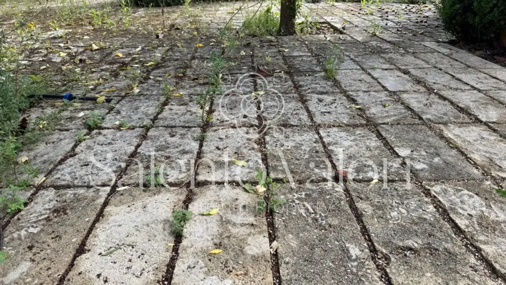 Terrasse - Historic Villa with Garden in Taviano
