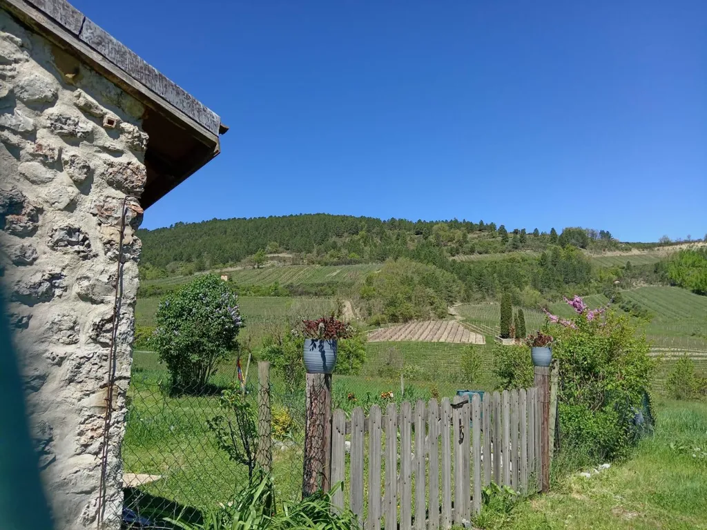 Aed - Bright House with Mountain View in Barnave