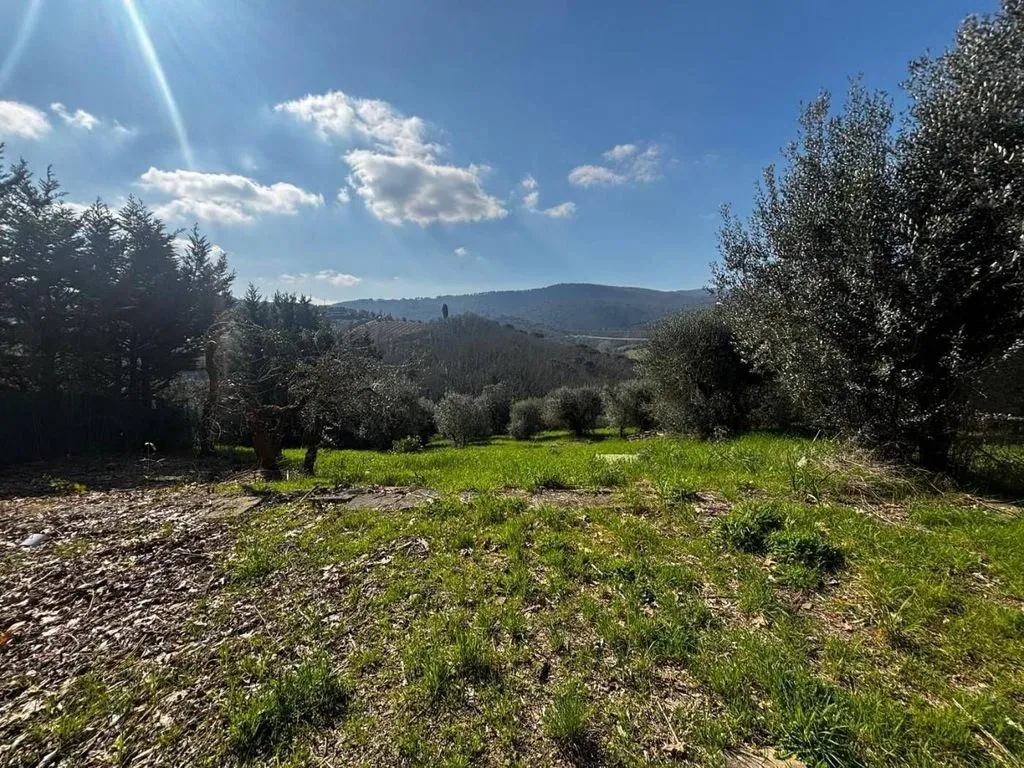 Aed - Luxury Villa with Panoramic Views in Scandicci