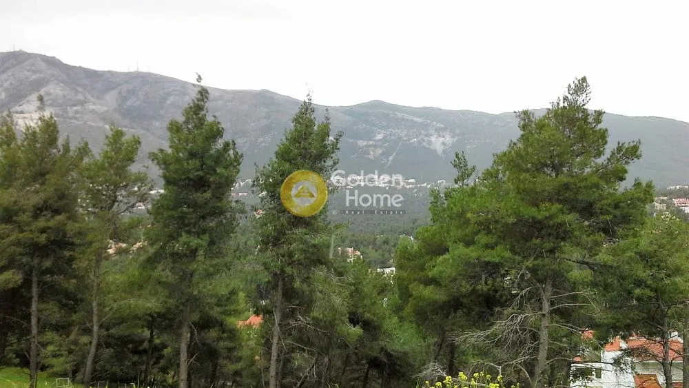 Plot with Unrestricted View in Dionysos