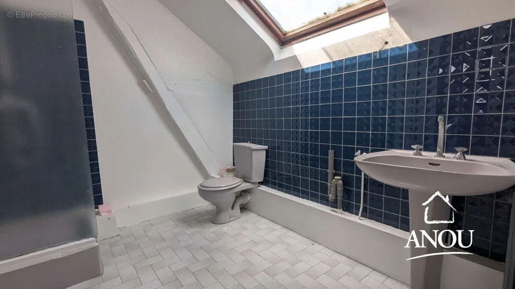 Salles de bain - Propriété de Charme sur 2 Hectares à Yèvres