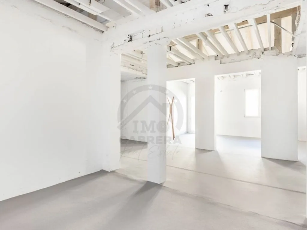 Toad - Luxury Apartment with Rooftop Access in Salamanca