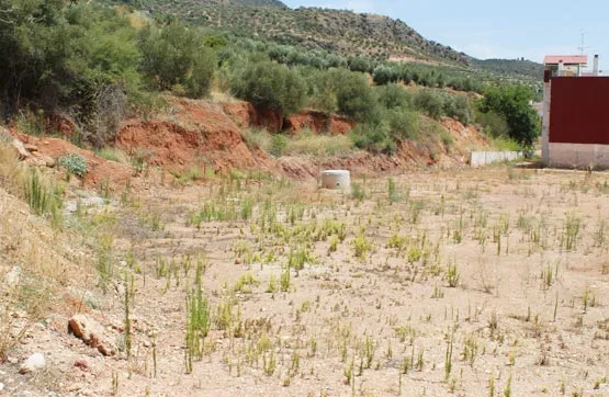 Jardin - Land Parcel in Puerta de Segura, Jaén