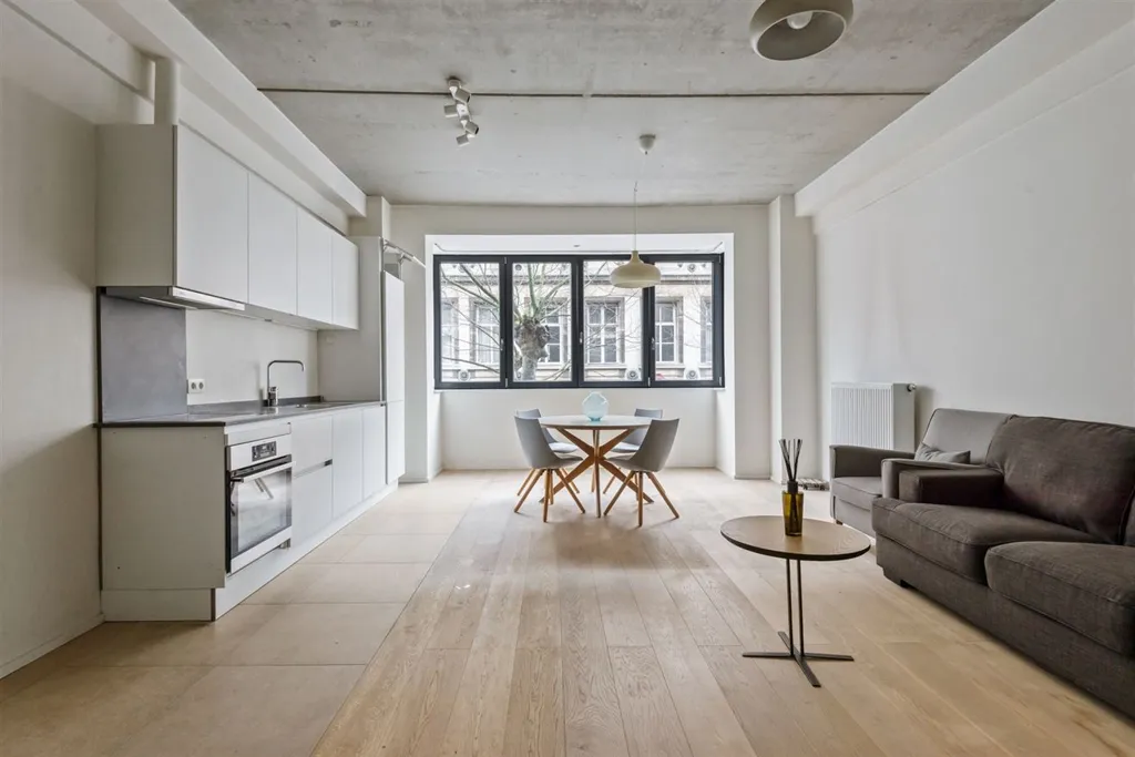 Soggiorno - Ready-to-Move One-Bedroom Apartment in Central Antwerp