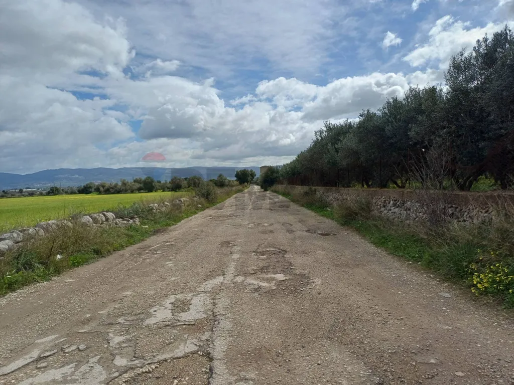 Aed - Villa with Garden and Panoramic View in Chiaramonte Gulfi