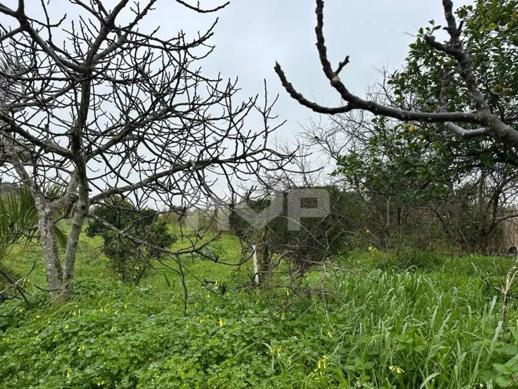 Jardin - Building Land Near Future Park in Olhão