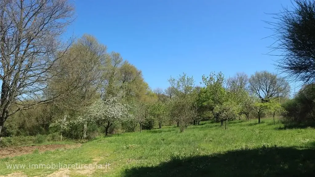 Jardin - Casale with Panoramic Views near Orvieto
