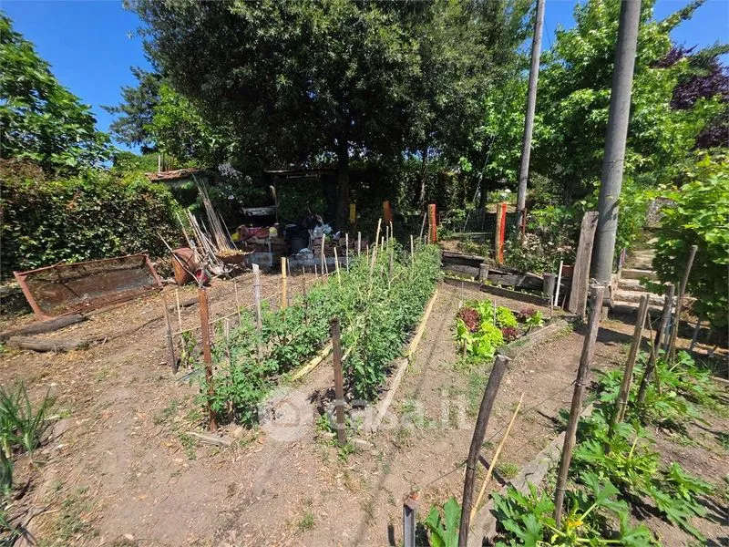 Jardin - Restored Rustico with Garden in Camporgiano
