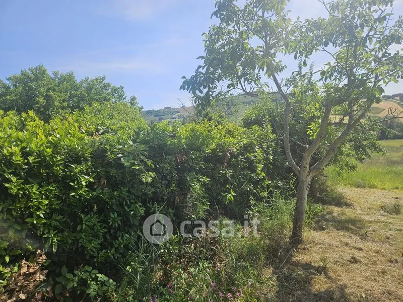 Aed - Rustic Casale with Olive Grove in Polverigi