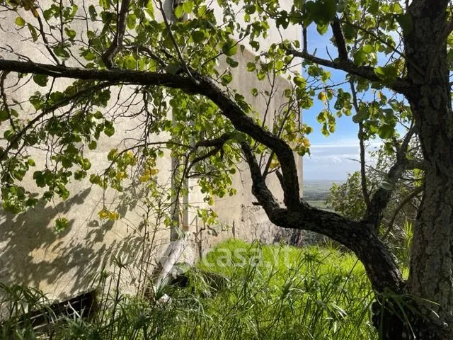 Jardin - Ground Floor Apartment with Garden in Macomer