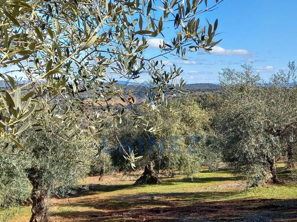 Jardin - Country House with Mountain Views in Villanueva del Rey