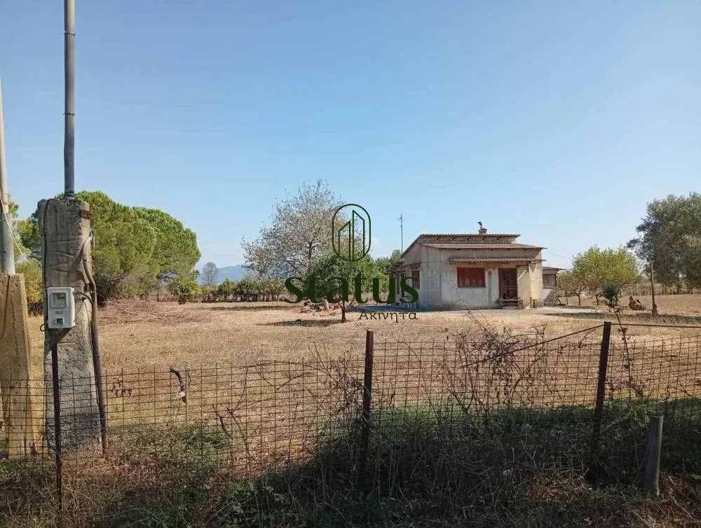 Aed - Four-Faced Plot with Sea Proximity in Kalogria