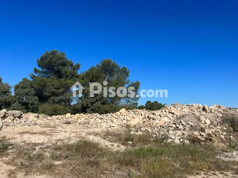 Jardin - Historic Finca with Vineyards in Requena