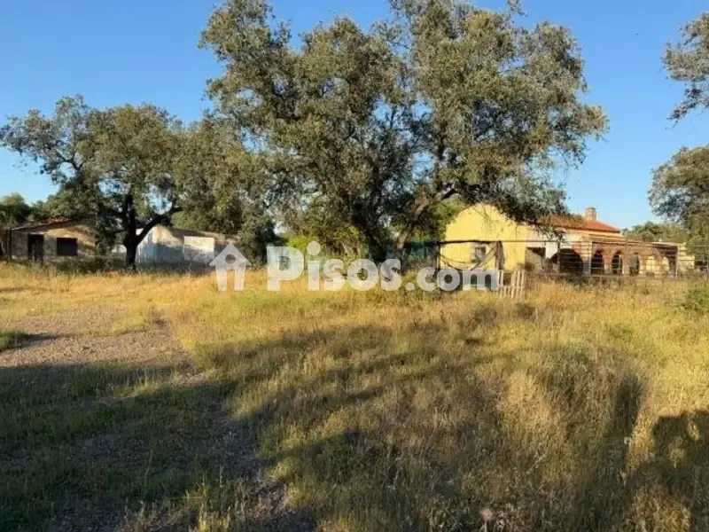 Jardin - Chalet with Land in Pedanías Norte