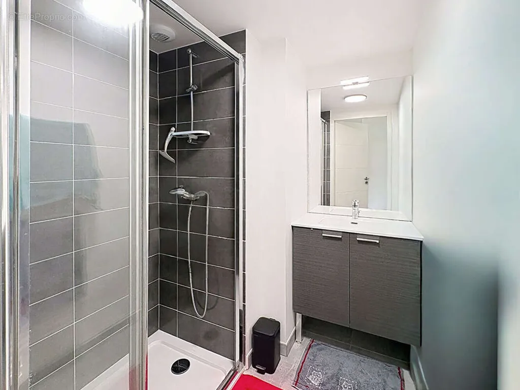 Bathrooms - Apartment with Terrace in Amancy