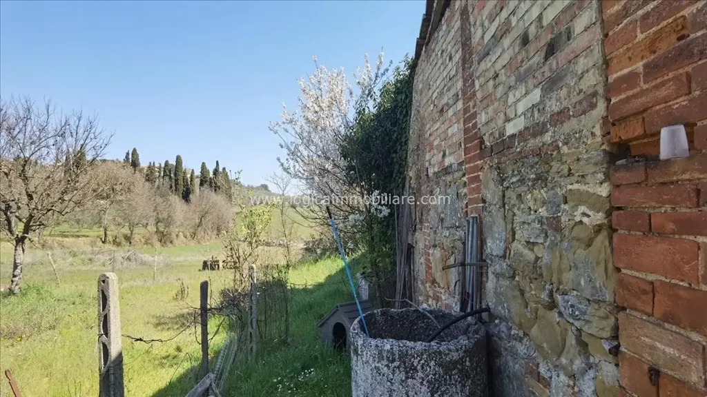 Jardin - Rustic Casale with Garden in Sinalunga