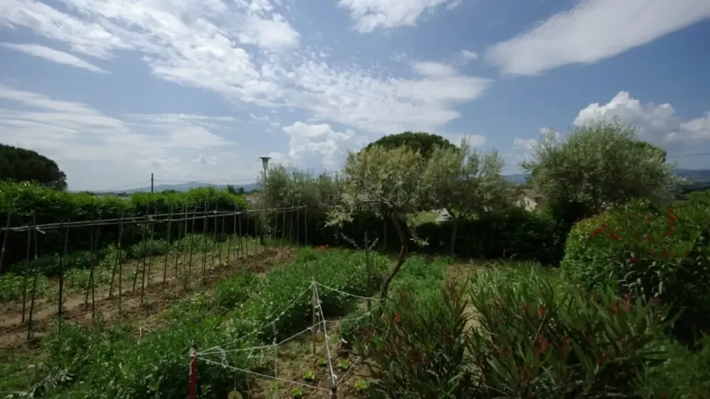 garden