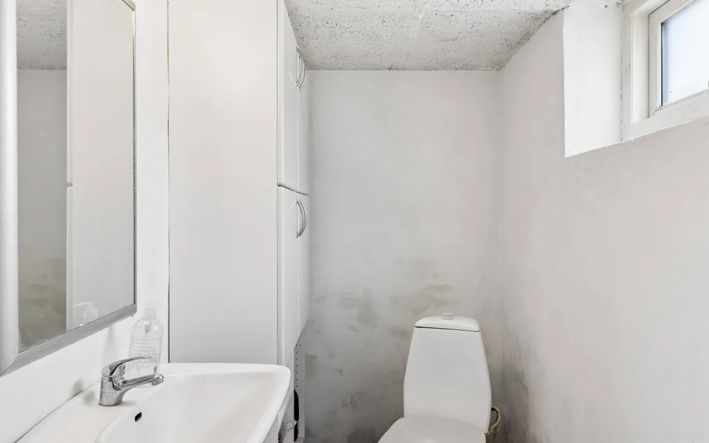 Bathrooms - Central Villa with South-Facing Garden in Broager