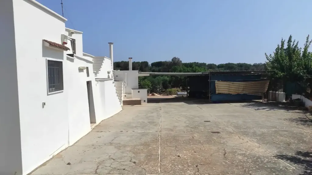 Extérieur - Trullo with Olive Grove in Carovigno