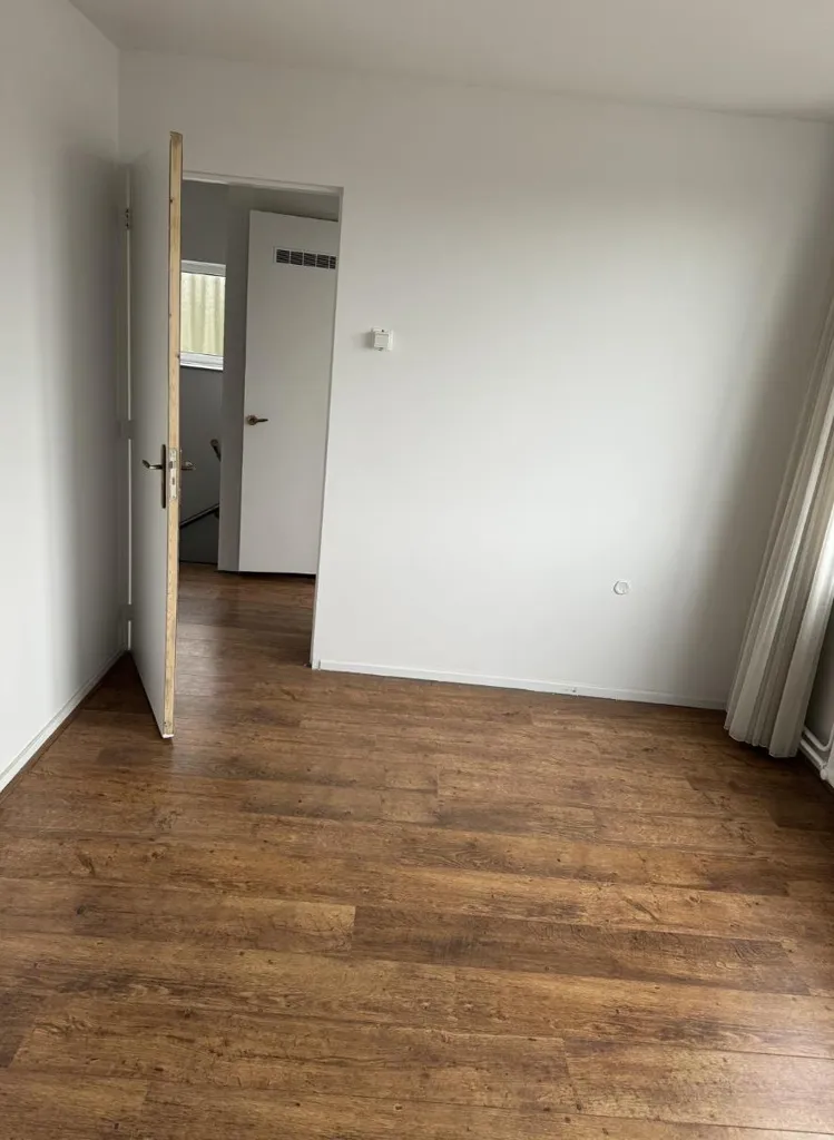 Toad - Luxury Room near Tilburg University