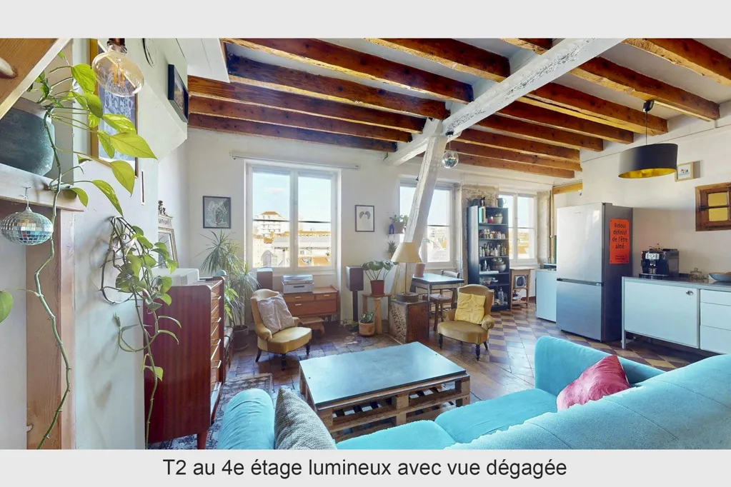 Elutuba - Charming Duplex with Rooftop View in Lyon