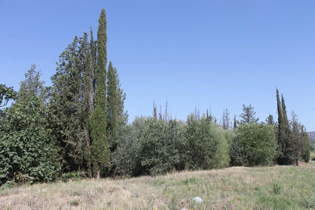 Jardin - Industrial Land in Olesa de Montserrat