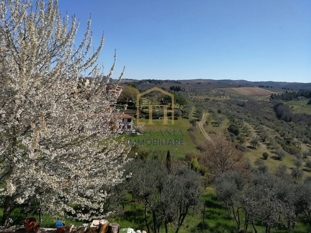 Jardin - Charming 2-Bedroom Apartment in Chianti