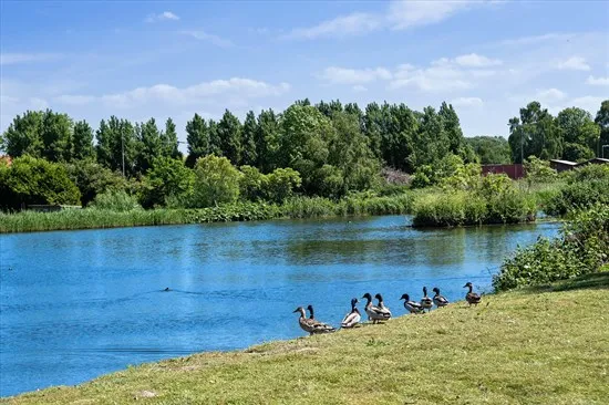 Year-Round Plot with 5G Coverage in Sakskøbing
