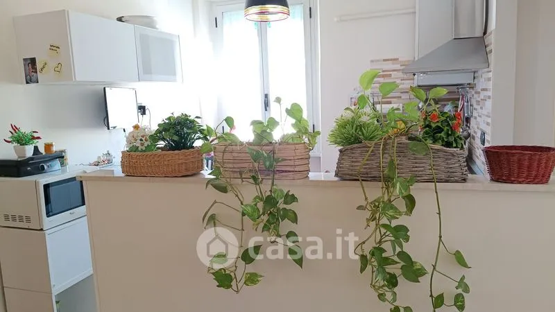 Köök - Modernised Apartment with Balcony in Ancona Centre