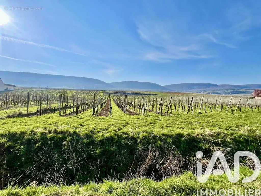 Aed - Buildable Plot with Full Orientation in Pfaffenheim