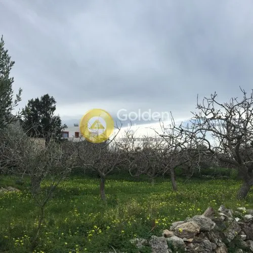 Jardin - Buildable Plot with Panoramic Views in Agia Napa - Vathý