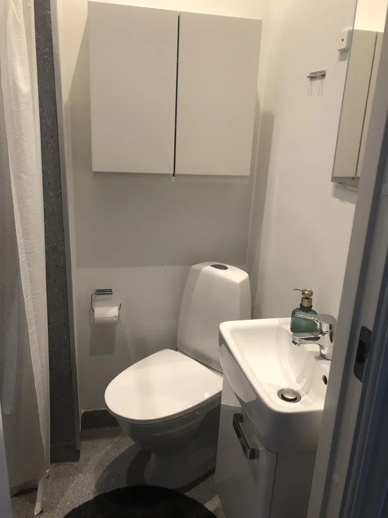 Bathrooms - Renovated 2-Bed Flat in Old Town Middelfart