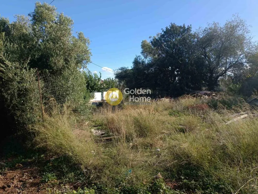 Aed - Corner Plot with Unobstructed View in Paiania Centre