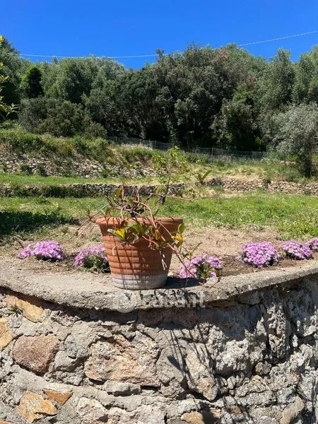 Jardin - Villa with Sea View in Monte Argentario